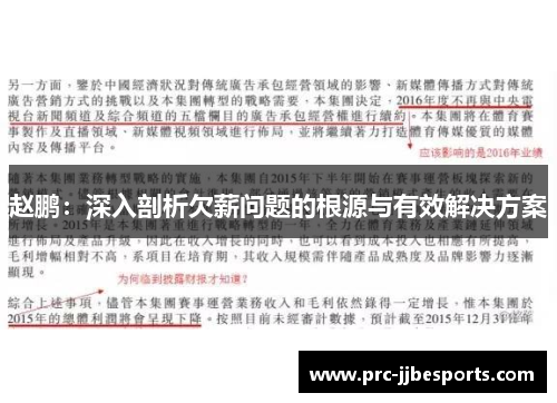 赵鹏：深入剖析欠薪问题的根源与有效解决方案