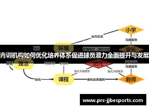青训机构如何优化培养体系促进球员潜力全面提升与发展