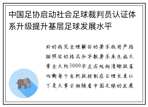 中国足协启动社会足球裁判员认证体系升级提升基层足球发展水平
